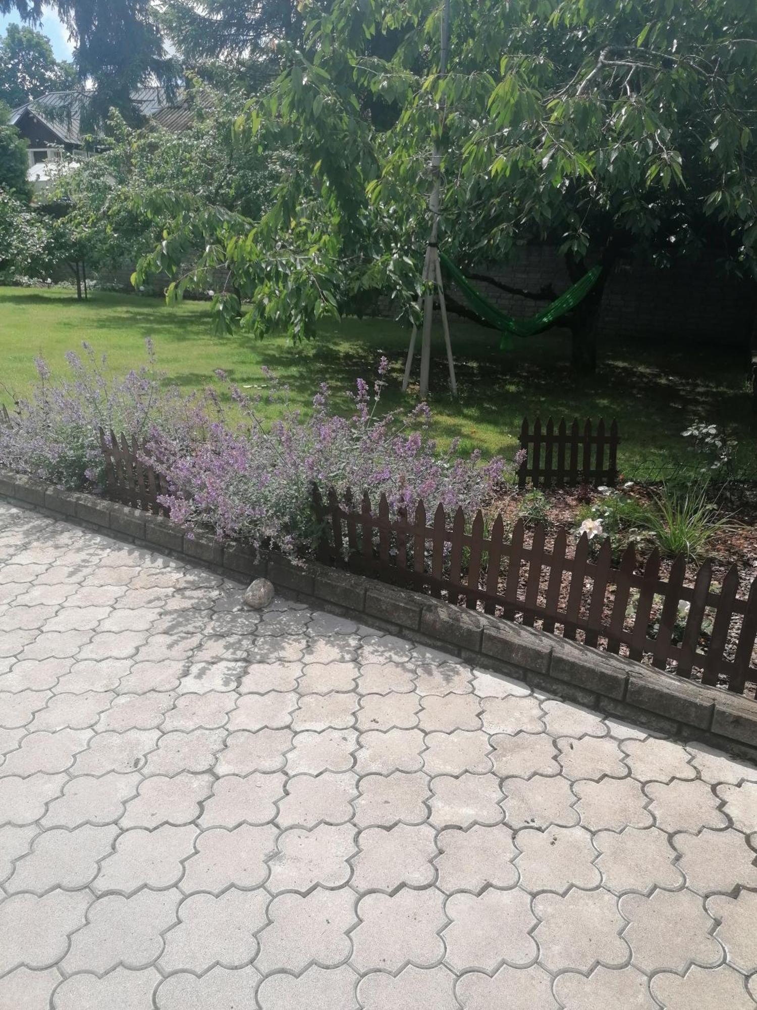 Apartment In Central Trakai Εξωτερικό φωτογραφία